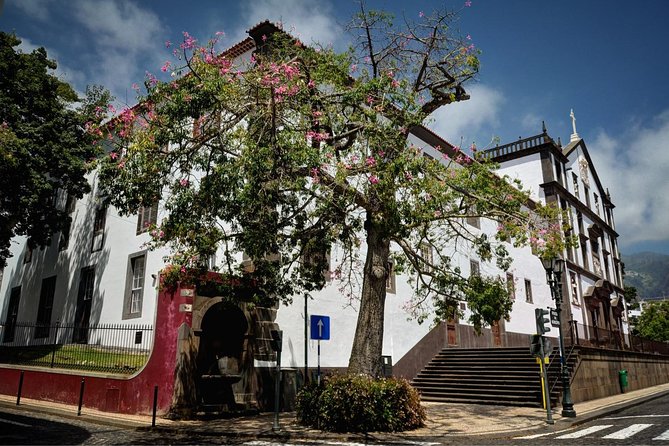 Madeira Grand Experience by Tukxi, Private Tour - Madeira Botanical Garden: worth it for plant lovers and viewpoint chasers