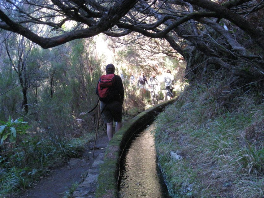 Madeira: Guided Full-Day Rabaçal Walk - Rabaçal Guesthouse to Risco Waterfall: Forest Walking With Real Purpose