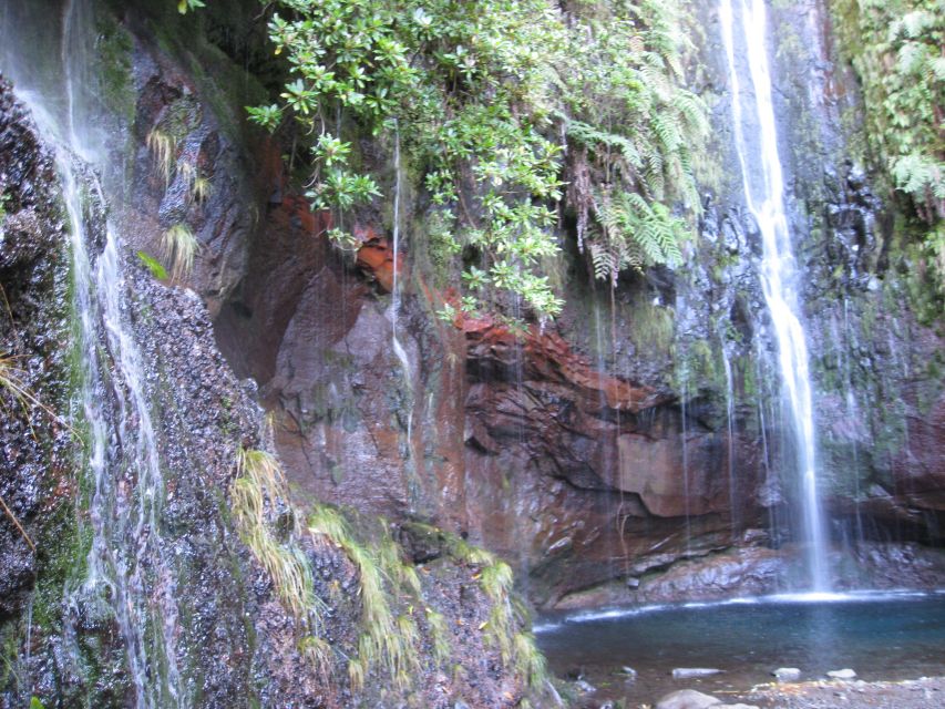Madeira: Guided Full-Day Rabaçal Walk - Price and Logistics That Affect Your Day