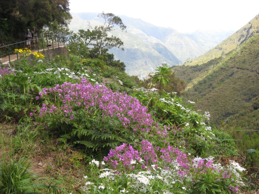 Madeira: Guided Full-Day Rabaçal Walk - Should You Book the Madeira Guided Full-Day Rabaçal Walk?