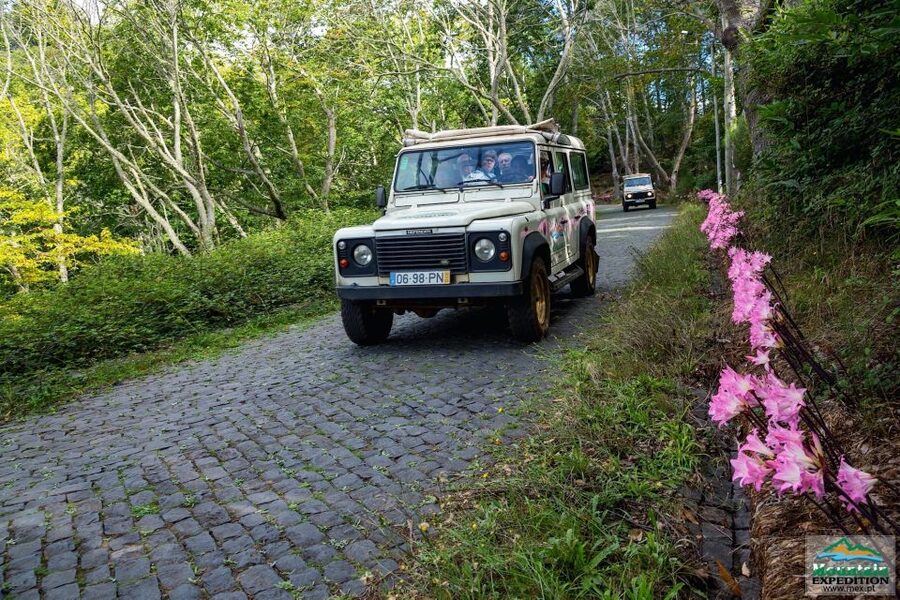 Madeira: Half-Day Nun's Valley and Sea Cliff Tour - Key things I’d point out before you go