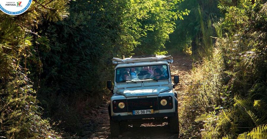 Madeira: Half-Day Nun's Valley and Sea Cliff Tour - Your route through named spots: from Câmara de Lobos edges to Boca viewpoints