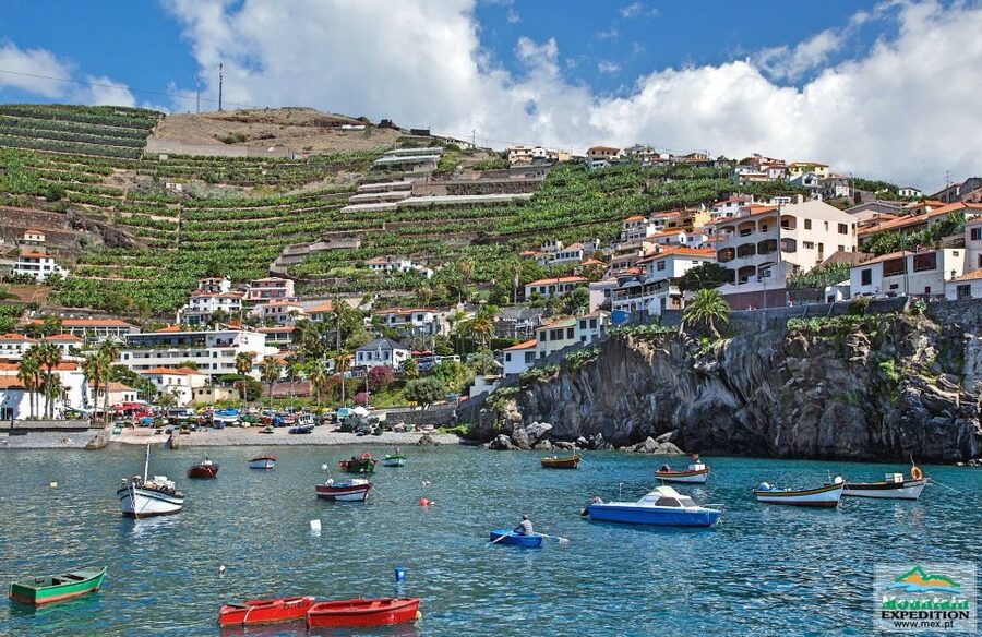 Madeira: Half-Day Nun's Valley and Sea Cliff Tour - Camara de Lobos: fishing village charm without a full detour