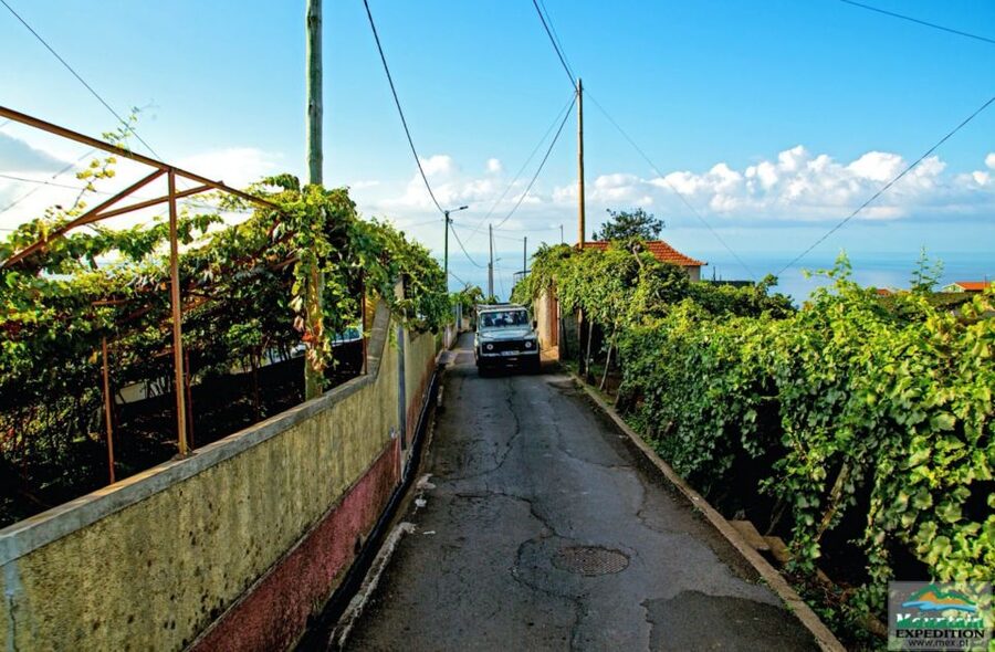 Madeira: Half-Day Nun's Valley and Sea Cliff Tour - Nun’s Valley and the mountain-road perspective that makes Madeira click