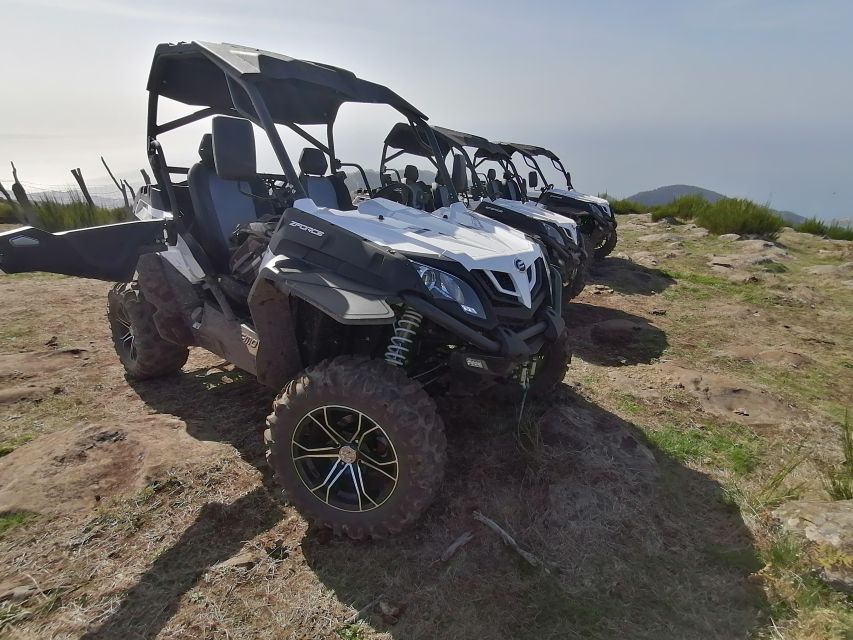 Madeira: Half-Day Off-Road Buggy Tour - Who should book this buggy tour, and who should skip it