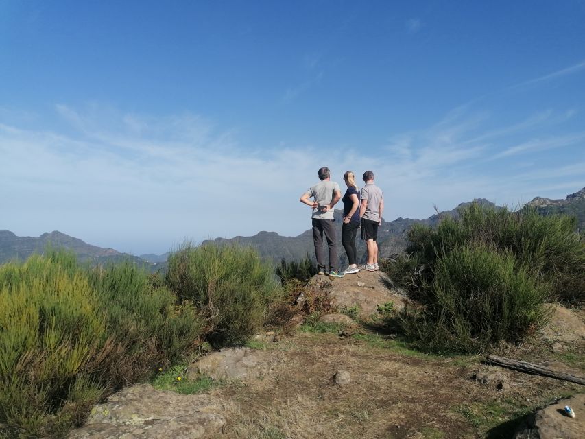 Madeira: Half-Day Off-Road Buggy Tour - Price and value: is $159 per group up to 2 a smart move?