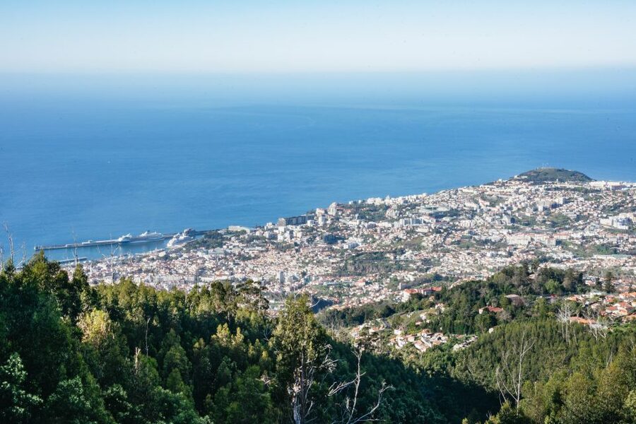 Madeira: Half-Day Pico Areeiro Jeep Tour - Quick hits you will care about