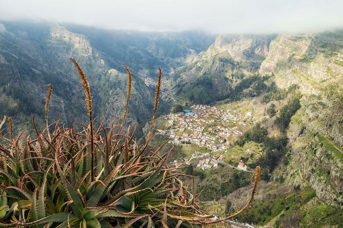 Madeira Half Day Small-Group Tour from Funchal - Guide quality, small-group pace, and real-world timing