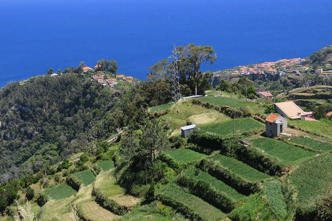 Madeira Highlights: Guided 4-Hour Tour from Funchal - Stop 3: Santo da Serra for a shift inland
