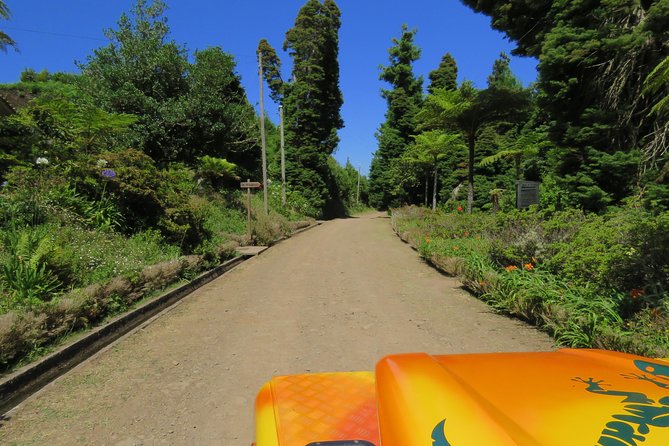 Madeira Highlights: Guided 4-Hour Tour from Funchal - Pickup fees can change your math