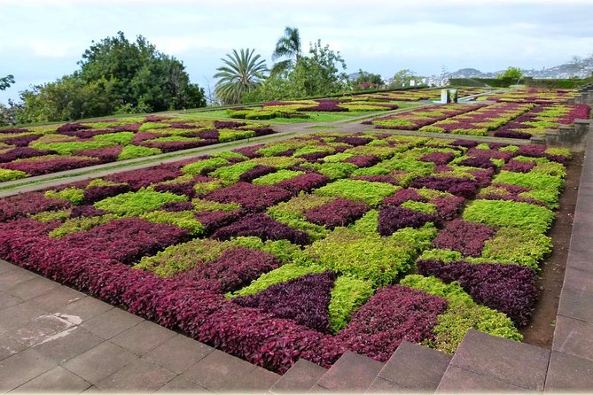 Madeira Highlights: Toboggan, Garden & Cable Car (All-Inclusive) - Pickup, small group size, and what the guide actually helps with