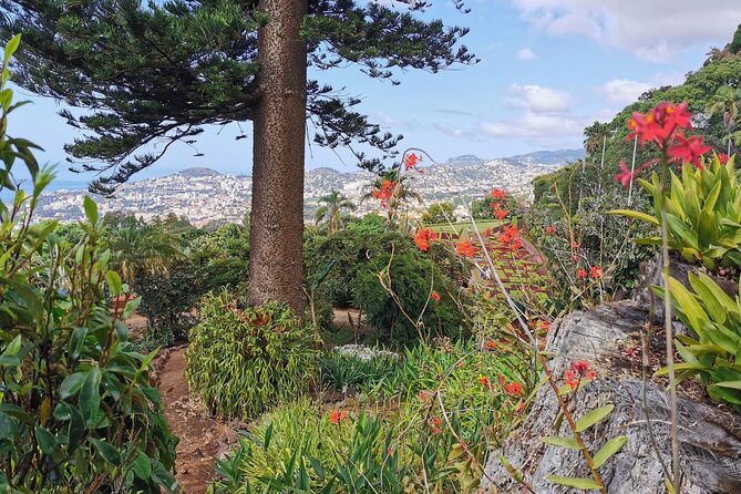 Madeira Highlights: Toboggan, Garden & Cable Car (All-Inclusive) - Price and value: what $199.13 per person is really buying