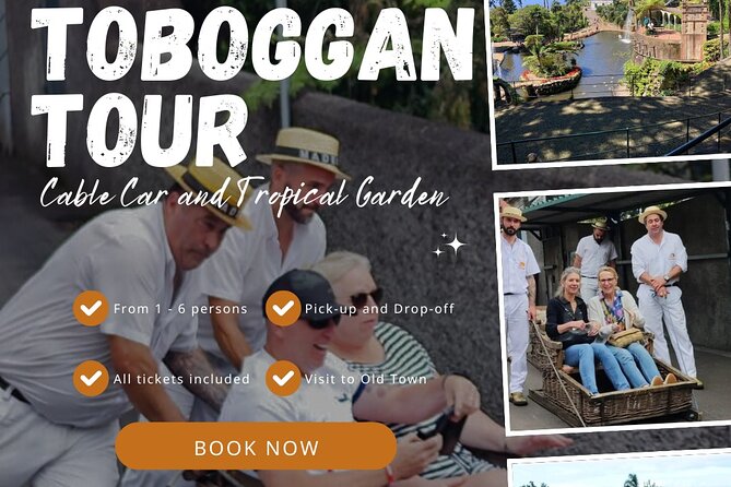 Madeira Highlights: Toboggan, Garden & Cable Car (All-Inclusive) - Monte Palace Madeira: gardens, plants, lakes, and outlooks over Funchal
