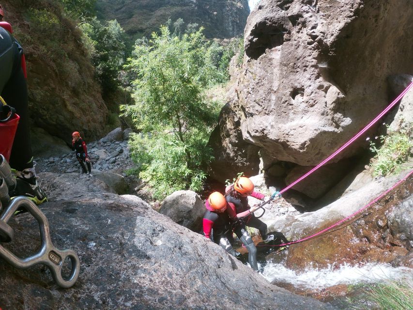 Madeira: Intermediate (Level 2) Canyoning Experience - Pickup, vans, and the timing rhythm from Funchal