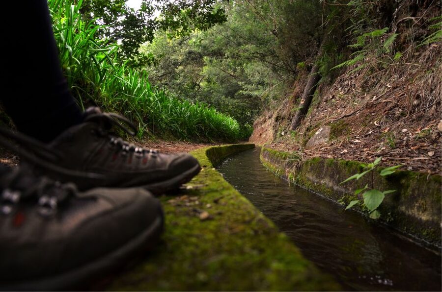 Madeira Island: Caldeirão Verde Levada Walk - Key highlights worth knowing