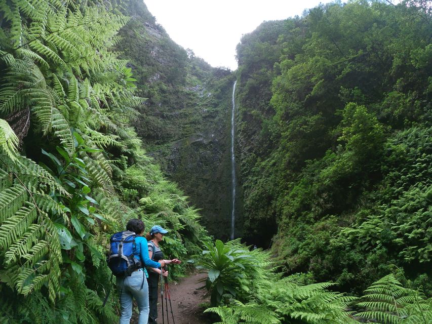 Madeira Island: Caldeirão Verde Levada Walk - From hotel pickup to Queimadas: the ride sets the mood