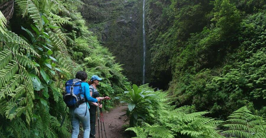 Madeira Island: Caldeirão Verde Levada Walk - What to pack so you don’t spend the day uncomfortable