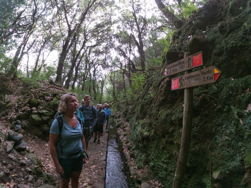 Madeira Island: Caldeirão Verde Levada Walk - Value and price: is $54 worth it for Caldeirão Verde?