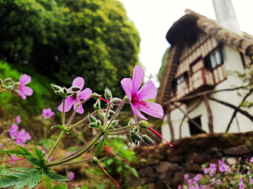 Madeira Island: Caldeirão Verde Levada Walk - Queimadas Forest Park and thatched-roof beginnings