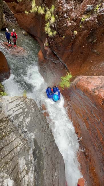 Madeira Island Canyoning Adventure - Who should book, and who should skip Level 2
