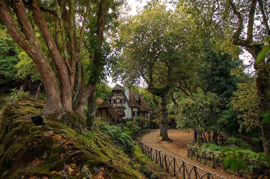 Madeira Island: Full-Day Guided Tour of Eastern Madeira - Caniçal, the easternmost finish where the sea tells stories