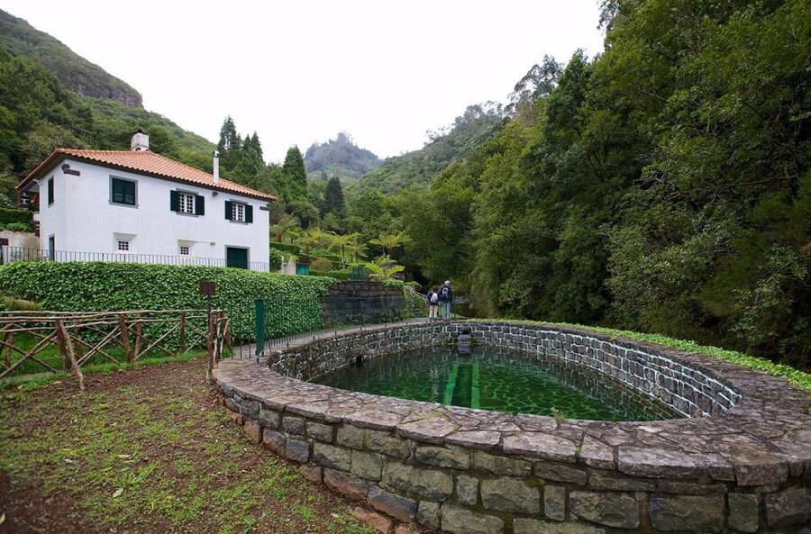 Madeira Island: Full-Day Guided Tour of Eastern Madeira - Ribeiro Frio and the Laurissilva forest walk you’ll remember