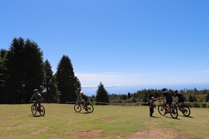 Madeira Island Guided Mountain Biking Adventure - Madeira mountain biking with levadas, not just downhill