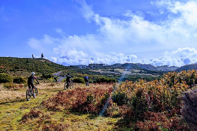 Madeira Island Guided Mountain Biking Adventure - Price and value: what $119.72 really covers