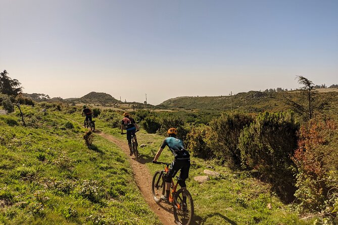 Madeira Island Guided Mountain Biking Adventure - Weather in Madeira: mist and mud can turn the ride