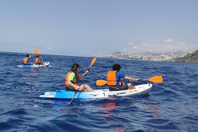 Madeira Island Kayak Experience - Small Group Size: Why Up to 16 Matters