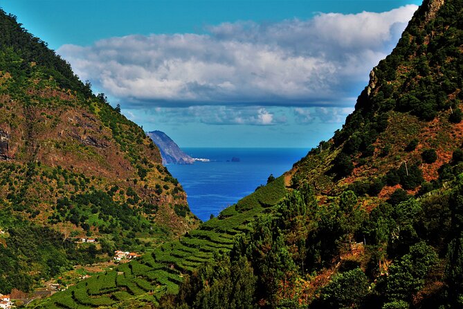 Madeira Island Private Wine Full-day Tour in all terrain vehicle - All-terrain, not just all style: why the jeep matters