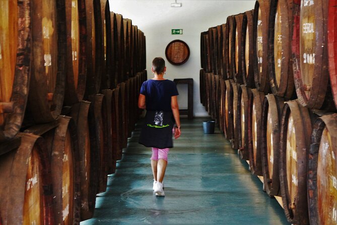 Madeira Island Private Wine Full-day Tour in all terrain vehicle - Quinta do Barbusano: where wine production meets real scenery
