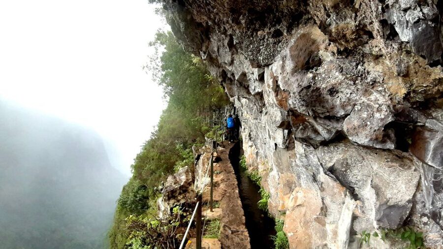 Madeira: Jungle Fever Levada Caldeirao Verde Hike Santana - Getting picked up in Funchal, Lido, or Caniço, then warming up with coffee
