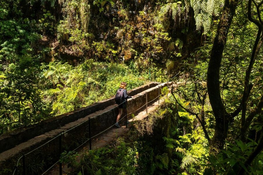 Madeira: Jungle Fever Levada Caldeirao Verde Hike Santana - Santana traditional houses, and why Señor Manuel is worth the stop