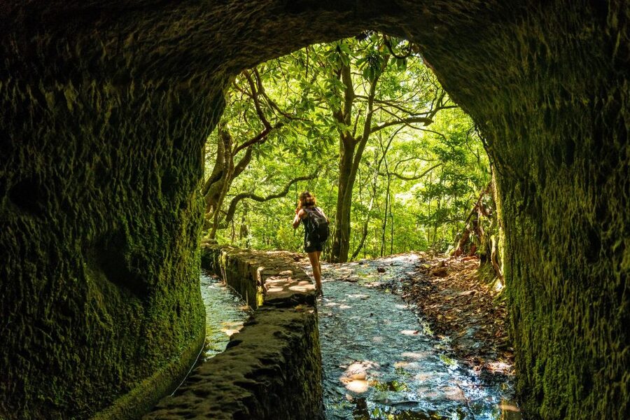 Madeira: Jungle Fever Levada Caldeirao Verde Hike Santana - Chasing waterfalls on the historic levada trail, with tunnels and the green kettle moment