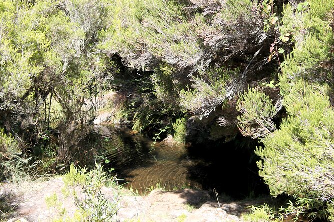 Madeira Lakes - Levada do Alecrim - Quick Take: What Makes This Levada Hike Worth Your Time
