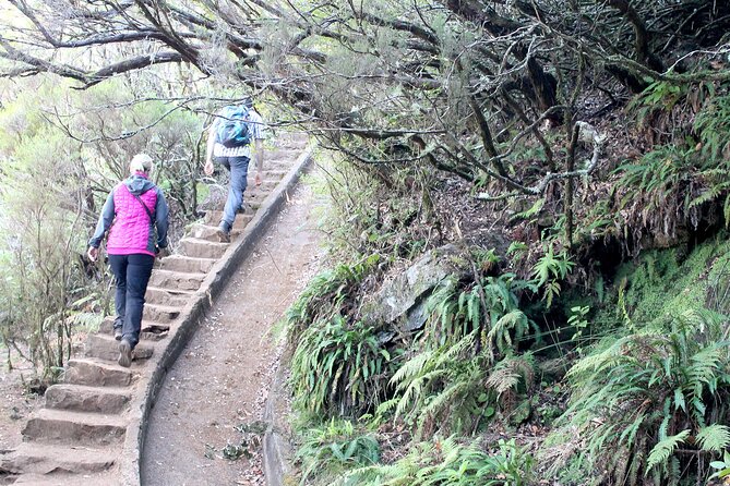 Madeira Lakes - Levada do Alecrim - Terrain Reality Check: From Flat Levadas to Mountain Gradients