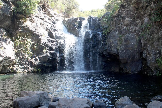 Madeira Lakes - Levada do Alecrim - UNESCO Natural World Heritage Site Walking: What You’ll Notice