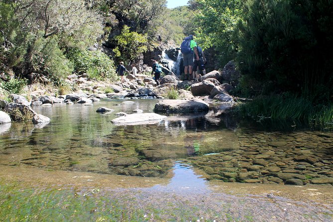 Madeira Lakes - Levada do Alecrim - Starting in Funchal: Pickup, Mobile Ticket, and the 8:30 am Start