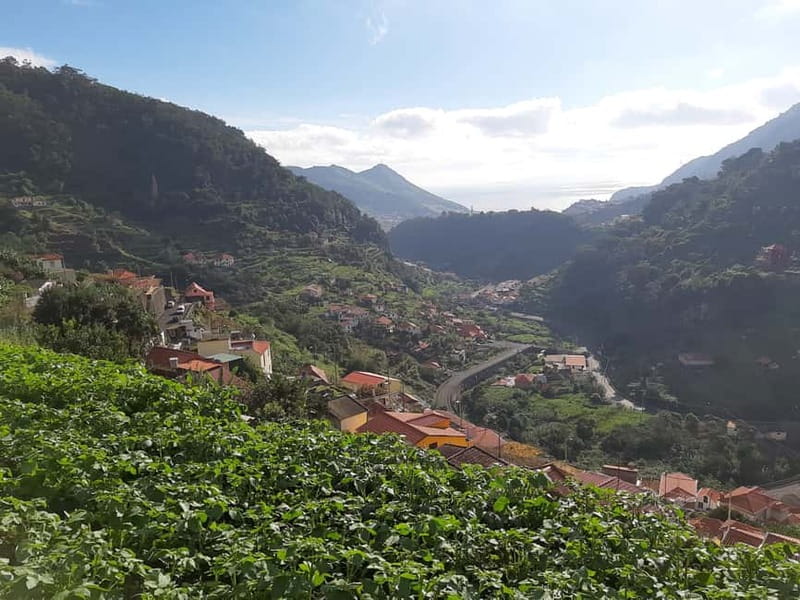 Madeira: Levada dos Maroços Hike - Key highlights to look for