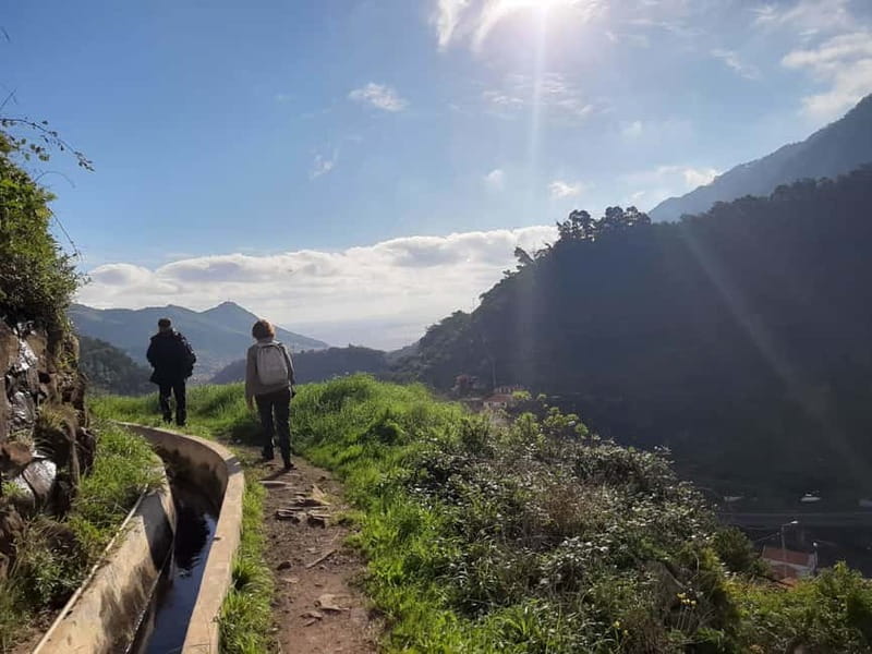 Madeira: Levada dos Maroços Hike - Your day starts with a transfer, not a puzzle
