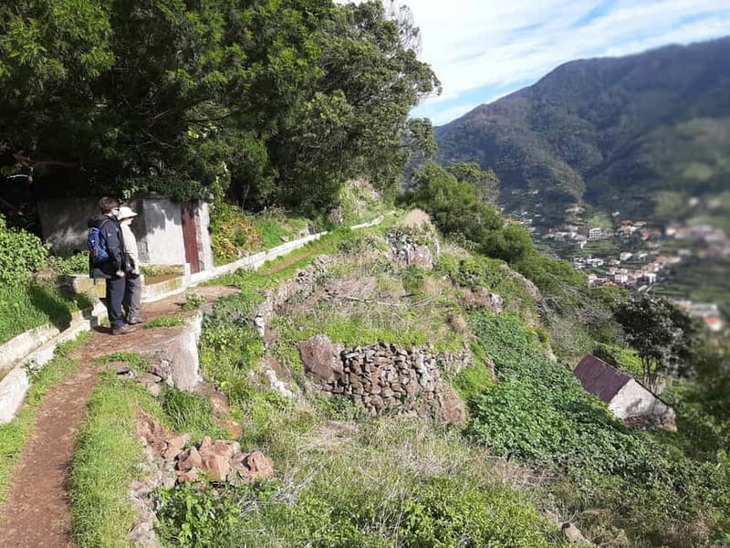 Madeira: Levada dos Maroços Hike - Farm life in the hills: animals, work, and quiet observations