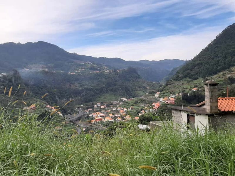 Madeira: Levada dos Maroços Hike - What a private guide adds, especially with Marco