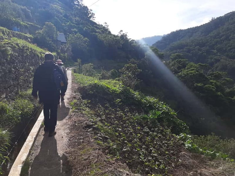 Madeira: Levada dos Maroços Hike - Price and value: why $117 can make sense here