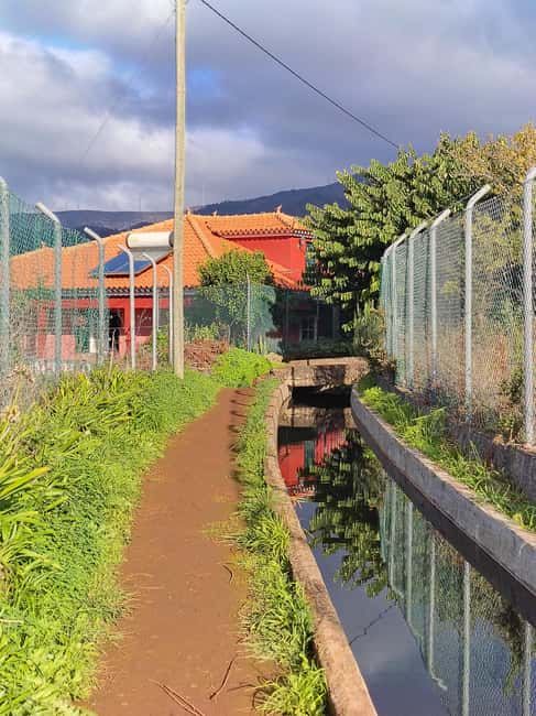 Madeira: Levada Paths of Water, People, and Tradition - Into the Forest: Laurel, Eucalyptus, Moss, and Cooler Air