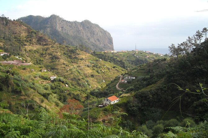 Madeira: Levada Referta - Castelejo Guided Walk - Levada do Castelejo: what makes this walk worth your time