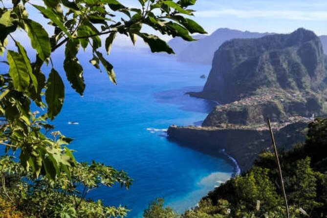 Madeira: Levada Referta - Castelejo Guided Walk - Levada do Castelejo trail: terraces, flowers, and ocean-edge drama