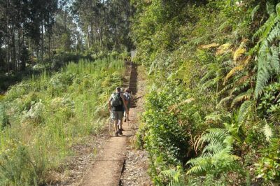 Levada Referta – Castelejo Guided Walk