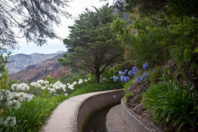 Madeira: Levada Referta - Castelejo Guided Walk - Views to Porto da Cruz and the Eagle’s Rock focal point