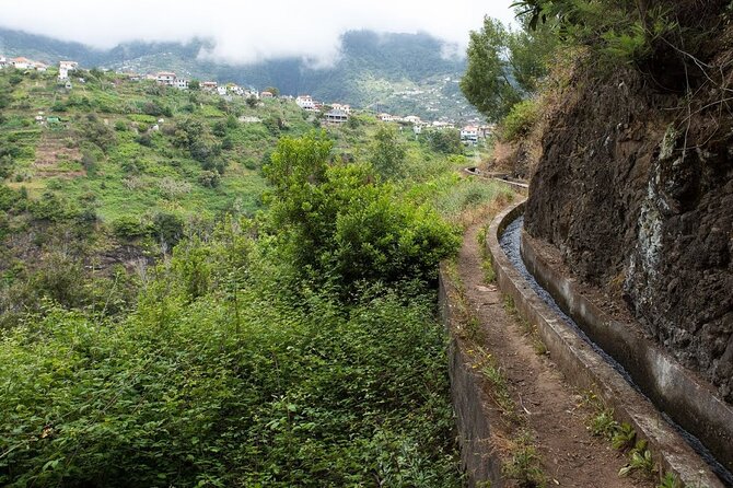 Madeira: Levada Referta - Castelejo Guided Walk - How the guide adds value beyond directions